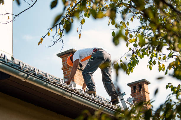 Best Roof Leak Repair  in Shoreline, WA