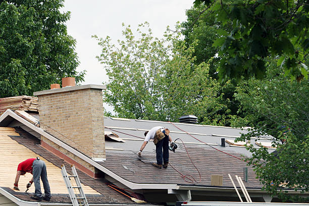 Best New Roof Installation  in Shoreline, WA
