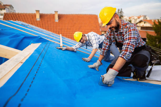 Best Storm Damage Roof Repair  in Shoreline, WA