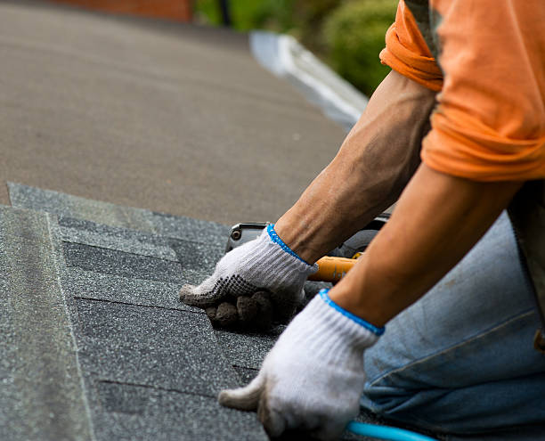 Best Metal Roofing Contractor  in Shoreline, WA