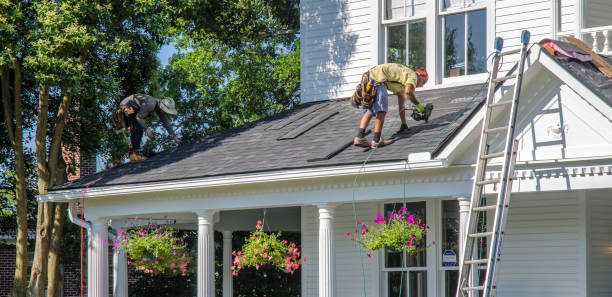Best Roof Gutter Cleaning  in Shoreline, WA