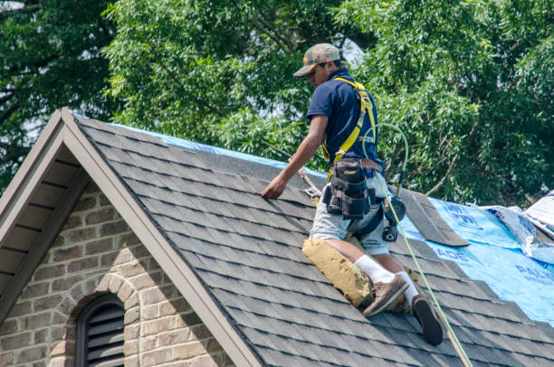 Best Emergency Roof Repair  in Shoreline, WA